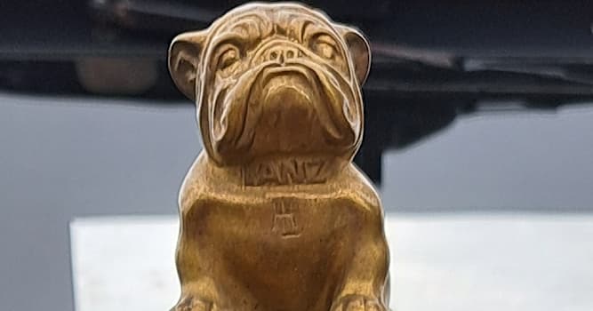 Maatschappij Trivia Vraag: Wat is een Lanz bulldog?