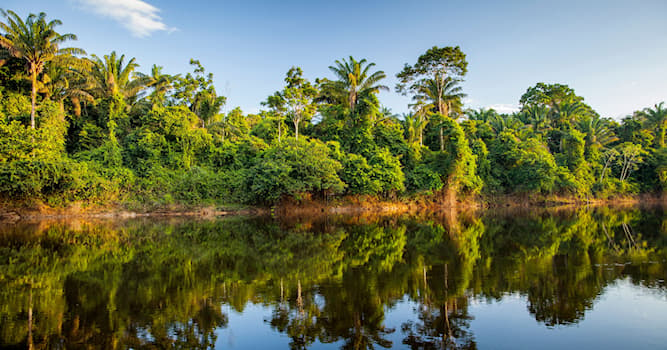 Aardrijkskunde Trivia Vraag: Aan welk land grenst Suriname?