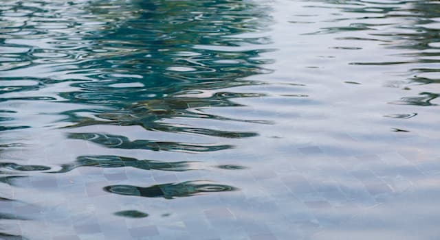 Natuur Trivia Vraag: Welke dieren drinken nauwelijks water?