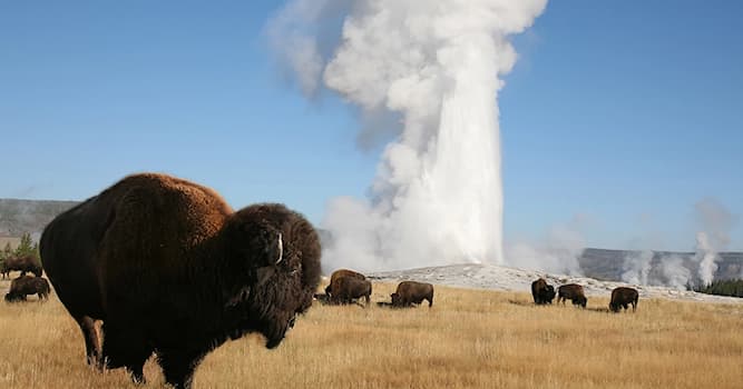 Aardrijkskunde Trivia Vraag: Hoe heet de bekendste geyser van het Yellowstone National Park?