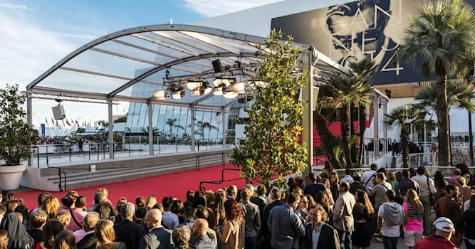 Films & TV Trivia Vraag: Hoe heet de filmprijs die wordt uitgereikt op het Filmfestival van Cannes?