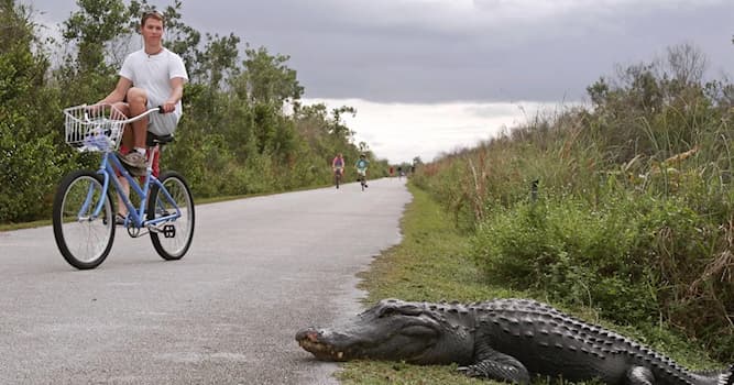 Aardrijkskunde Trivia Vraag: In welk Nationaal park van de Verenigde Staten kan je krokodillen, alligators en panters spotten?