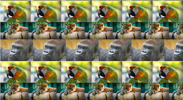 Nature Trivia Question: What is the difference between autostereogram and stereogram?