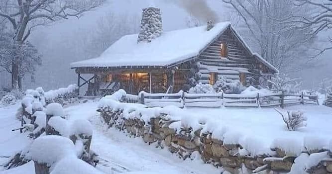 Natuur Trivia Vraag: Welke seizoen wordt afgebeeld op de foto?
