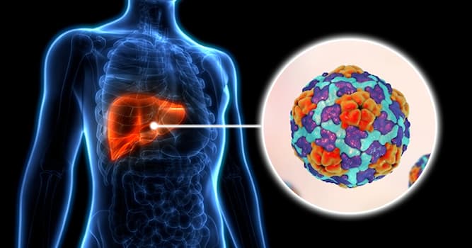 Wetenschap Trivia Vraag: Hoe wordt het hepatitis A virus (geelzucht) overgedragen?