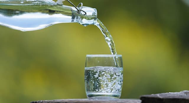 Doğa Trivia Sorusu: Su ve havanın canlılar için ortak önemi nedir?