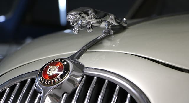 Toplum Trivia Sorusu: Fotoğrafta gösterilen popüler araba markasının adı nedir?