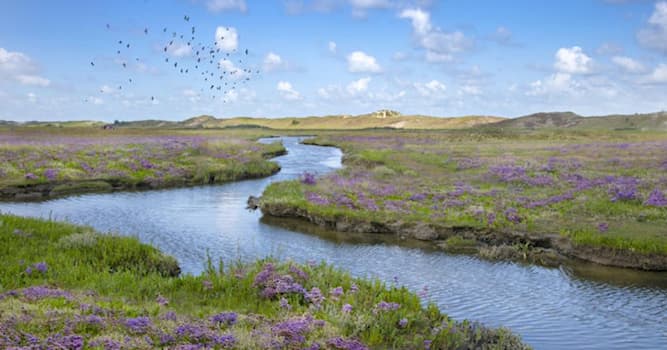 Natuur Trivia Vraag: Om welke bijzondere eigenschap staat het natuurgebied 'HET ZWIN' vooral bekend?