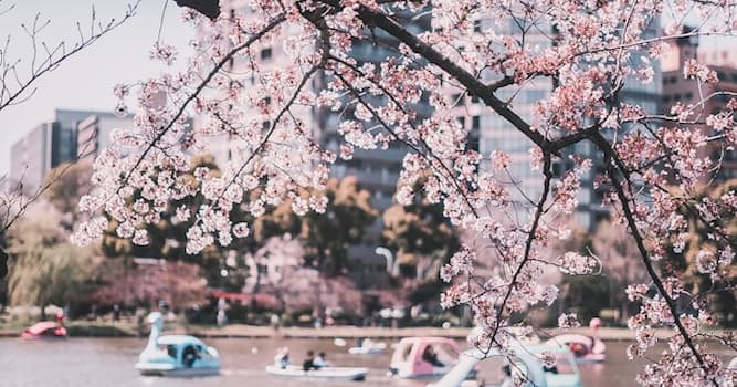 Geografía Pregunta Trivia: ¿Dónde está Tokio?