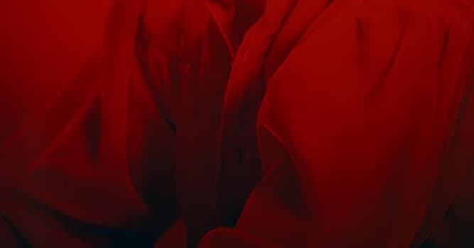 Kültür Trivia Sorusu: Elvis Presley hangi yeni müzik türünün öncüsü oldu?