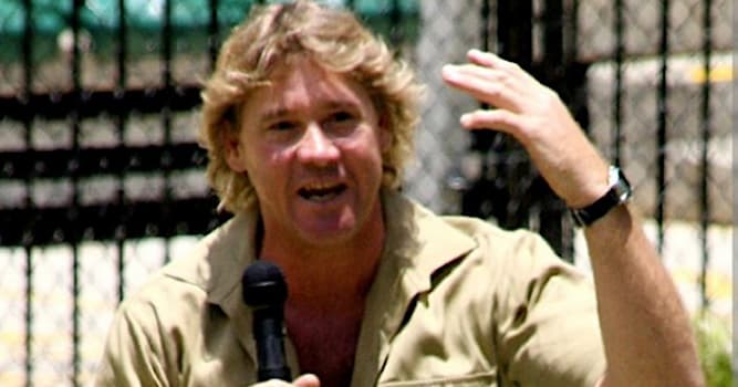 Società Domande: Chi era Steve Irwin?