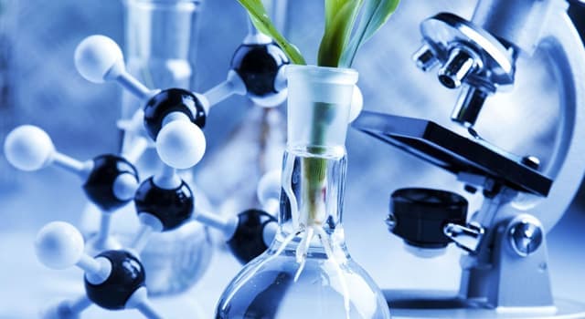 Сiencia Pregunta Trivia: ¿Cuál es la hormona esteroide que libera el cuerpo humano, en respuesta al estrés?