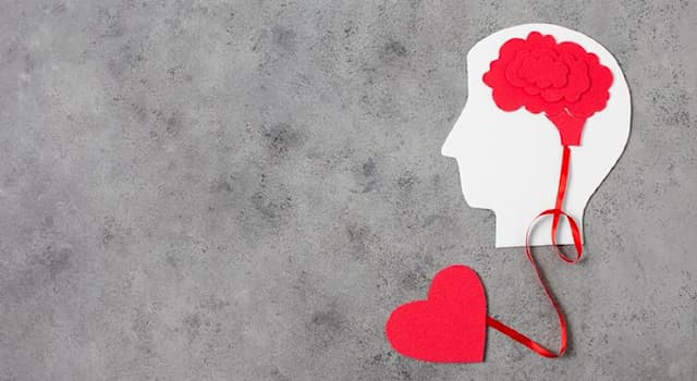 Сiencia Pregunta Trivia: ¿Qué diferencia la inteligencia emocional de la cognitiva?