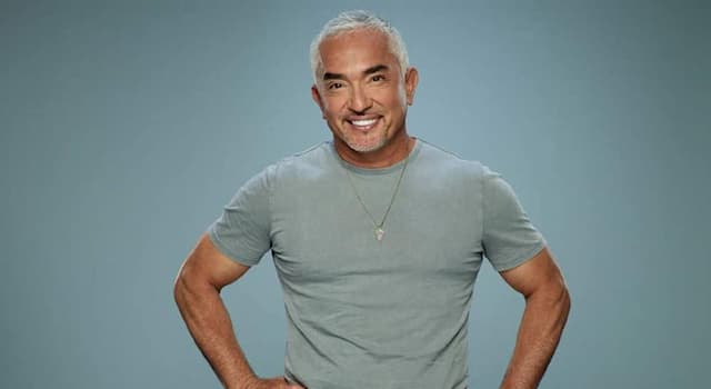 Movies & TV Trivia Question: Cesar Millan presents a globally successful TV show about which type of animal?