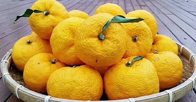 Natuur Trivia Vraag: Hoe heet deze citrusvrucht?