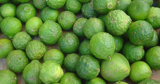 Natuur Trivia Vraag: Hoe heet deze citrusvrucht?