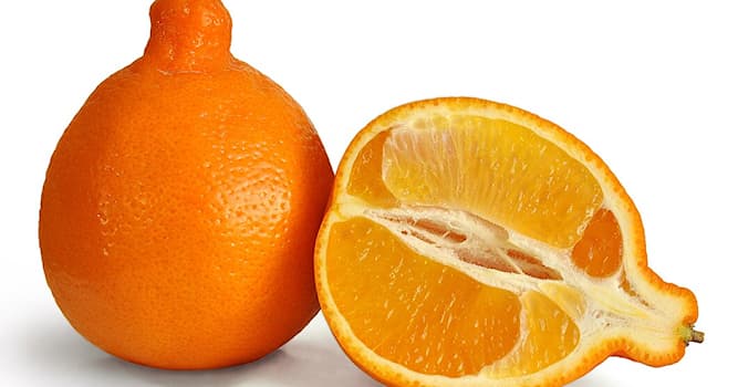 Natuur Trivia Vraag: Hoe heet deze citrusvrucht?