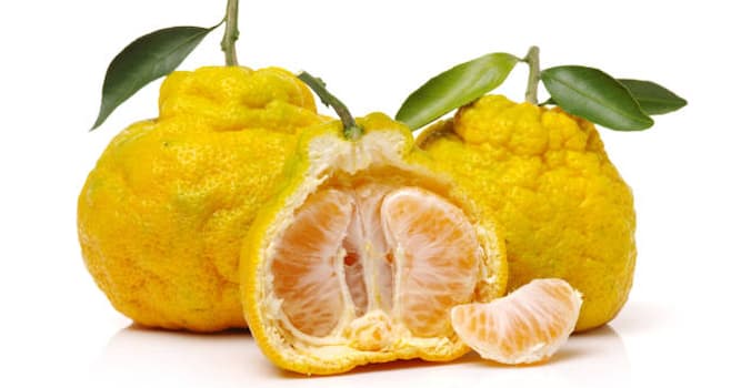 Natuur Trivia Vraag: Hoe heet deze citrusvrucht?