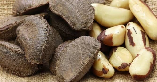 Natuur Trivia Vraag: Hoe heet deze notensoort die je vaak aantreft in studentenhaver?