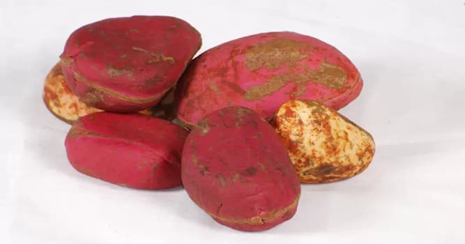 Natuur Trivia Vraag: Hoe heet deze notensoort die vooral wordt geconsumeerd omwille van het stimulerende effect?