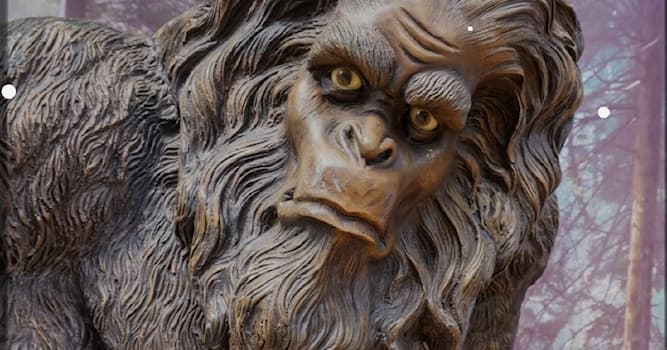 Natuur Trivia Vraag: Iedereen heeft wel eens van bigfoot gehoord, hoe wordt dit wezen ook wel genoemd?