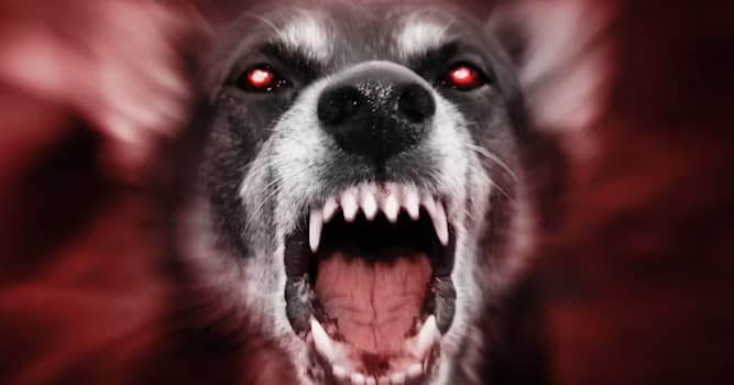 Culture Question: Qui est à l'origine du proverbe "Quand on veut tuer son chien on dit qu'il a la rage" ?