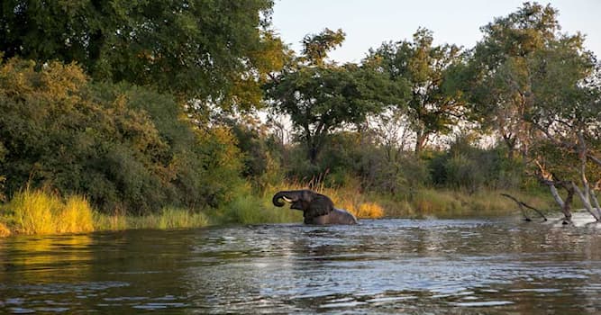 Aardrijkskunde Trivia Vraag: Wat is, na de Nijl, de langste rivier van Afrika?