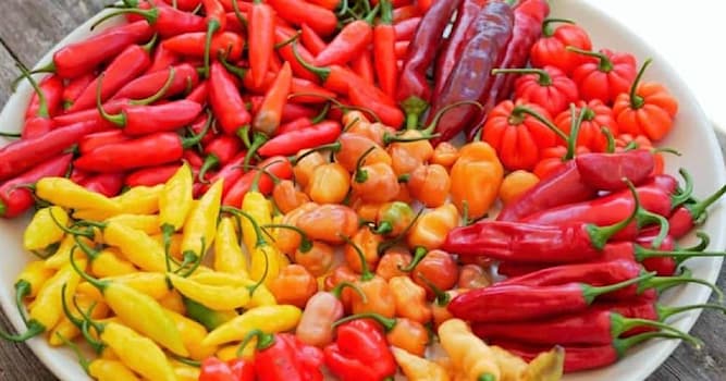 Natuur Trivia Vraag: Wat is sinds 2023 de "heetste" chilipeper ter wereld?