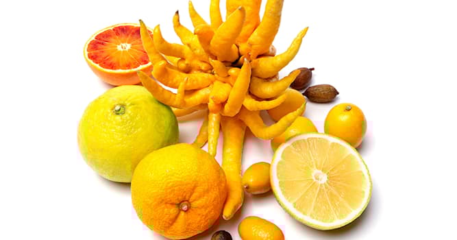 Natuur Trivia Vraag: Welke citrusvrucht is het resultaat van een kruising tussen een pomelo en een grapefruit?