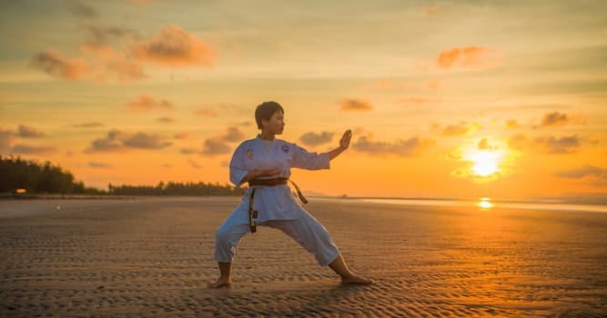 Deporte Pregunta Trivia: ¿Cuál es el objetivo principal de las artes marciales?