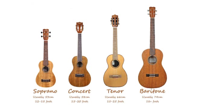 Cultuur Trivia Vraag: Hoe heet dit snaarinstrument?