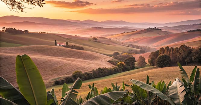 nauka Pytanie-Ciekawostka: Który specjalista medyczny zajmuje się skórą?