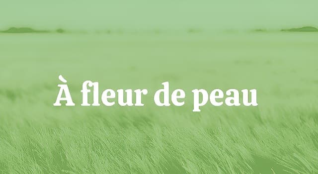 Culture Question: Que signifie l'expression « Être à fleur de peau » ?