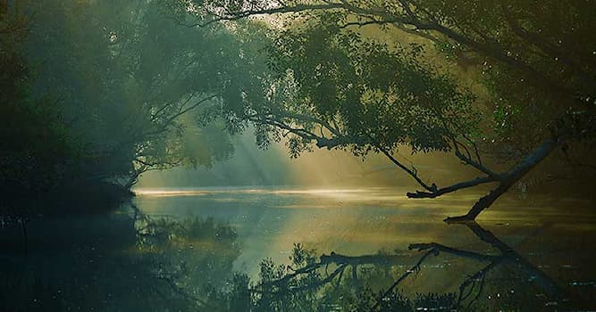 Aardrijkskunde Trivia Vraag: Waar bevindt zich het grootste mangrovegebied ter wereld?