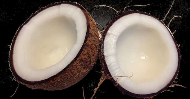 Culture Trivia Question: "Coconut" was a US top-ten single in 1972 for which of these singers?