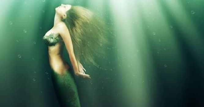 Kultura Pytanie-Ciekawostka: Czym jest syrena?