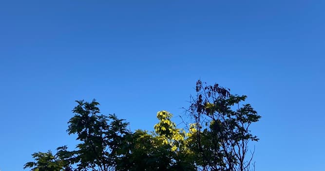 Wetenschap Trivia Vraag: Welke kleur heeft de lucht op een heldere dag?