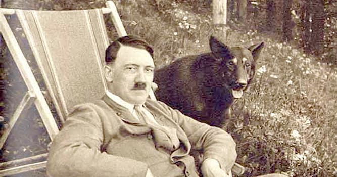 Histoire Question: À qui appartient la citation : « Plus je connais les hommes, plus j’aime les chiens » ?