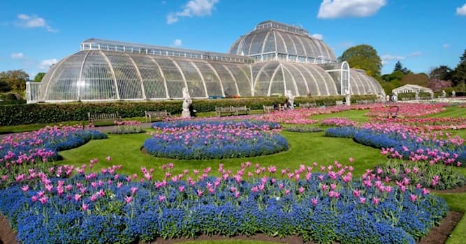 Aardrijkskunde Trivia Vraag: Hoe heet de koninklijke botanische tuin van Groot-Brittannië?