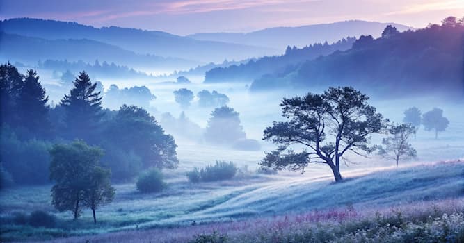 Doğa Trivia Sorusu: Yere yakın oluşan yoğunlaşmış nemi ne olarak adlandırırız?