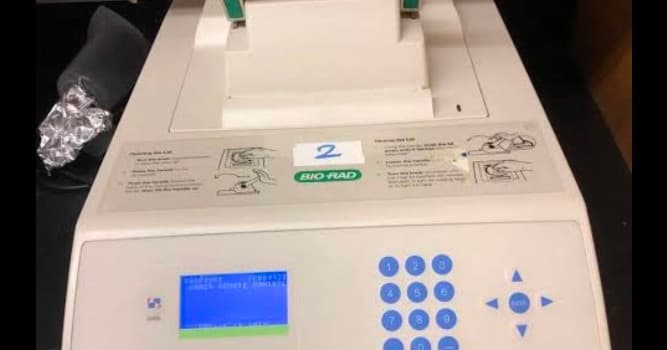 Science Trivia Question: Which of the following is often used in biotechnology to make copies of DNA?