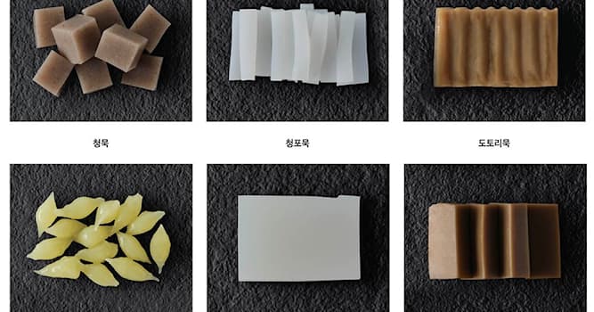 활동 내역 상식 퀴즈: 탕평채의 주재료는 무엇인가요?