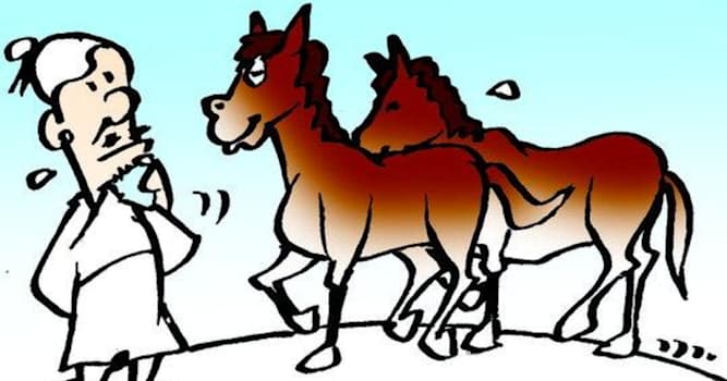 문화 상식 퀴즈: 인생의 길흉화복은 변화가 많아 예측하기 어렵다는 뜻의 사자성어는?