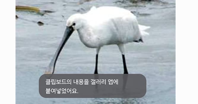자연 상식 퀴즈: 사진에 있는 것은 무슨 새인가?