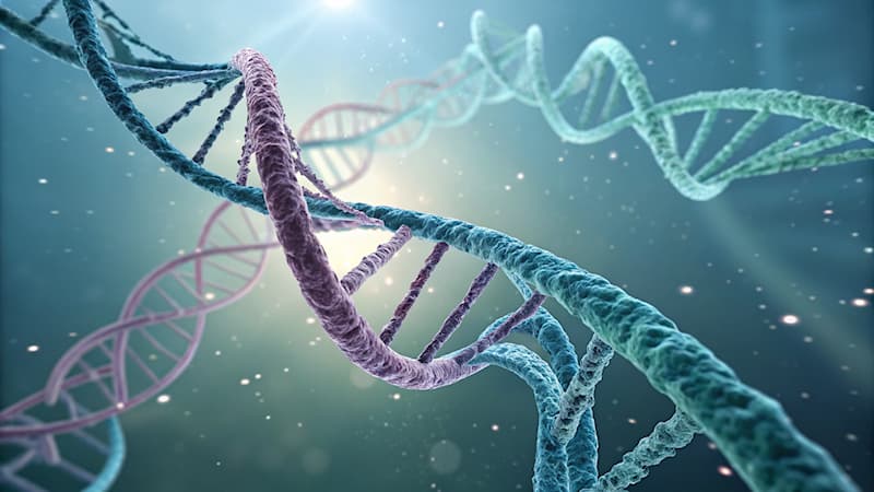 Bilim Trivia Sorusu: Kromozomların ana bileşeni nedir?