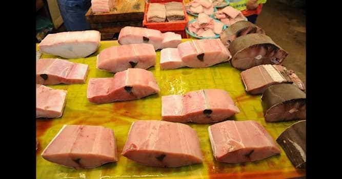 문화 상식 퀴즈: 돔배기는 무슨 고기로 만든 음식인가요?