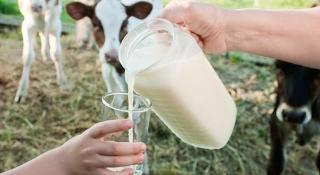 Naturaleza Pregunta Trivia: ¿La leche de qué animal es considerada la más nutritiva del mundo?