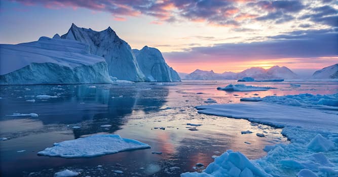 Doğa Trivia Sorusu: Uzun dişleri ve bıyığıyla tanınan deniz hayvanı hangisidir?