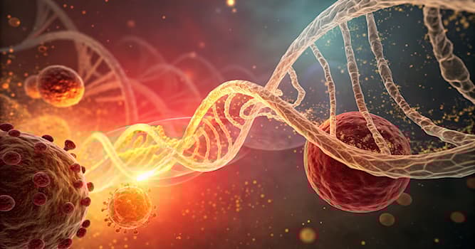 nauka Pytanie-Ciekawostka: Czym jest stan zapalny?