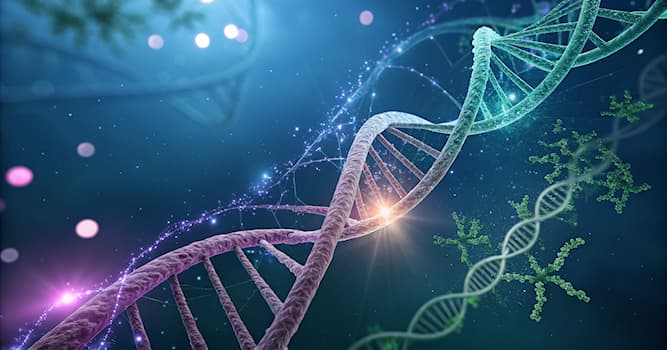 nauka Pytanie-Ciekawostka: Czym zajmuje się nauka o genetyce?